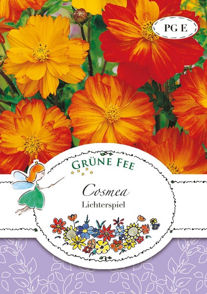 Samentüte für orangefarbene und rote Cosmea Lichterspiel mit Grüne Fee Logo.