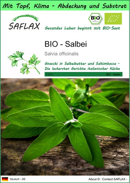 SAFLAX Garden to go - BIO - Salbei - Salvia officinalis - 60 Samen - Mit Topf, Klima - Deckel und Anzuchtsubstrat