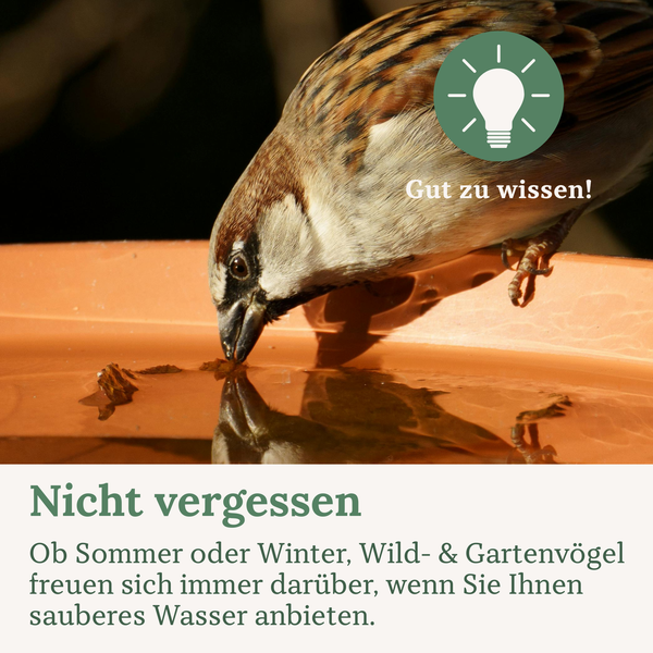Familie macht Selfie vor einem FairyTrees Weihnachtsbaum mit Buchenholzständer und künstlicher Kiefernform in einem festlichen Wohnzimmer.