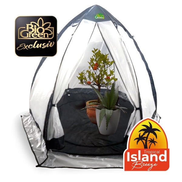 Überwinterungszelt Tropical Island Breeze L für Pflanzen H 200 x Ø 240 cm