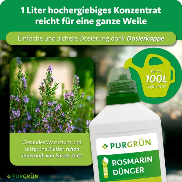 Purgrün Rosmarin Dünger in 1 Liter Flasche mit Vinasse und Algenextrakt für 100 Liter Gießwasser, hergestellt in Deutschland.