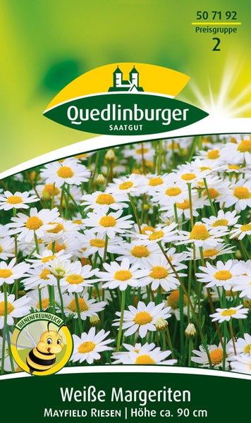 Quedlinburger Saatgut Logo, Samen für Weiße Margeriten Mayfield Riesen, bienenfreundlich, Wuchshöhe circa 90 Zentimeter.