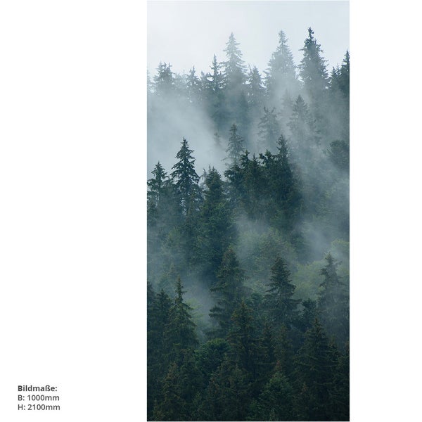 Waldlandschaft mit Nebel und Bäumen
