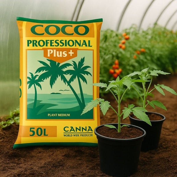 Canna Coco Professional Plus Pflanzmedium im 50 Liter Sack neben jungen Pflanzen in Töpfen in einem hellen Gewächshaus.