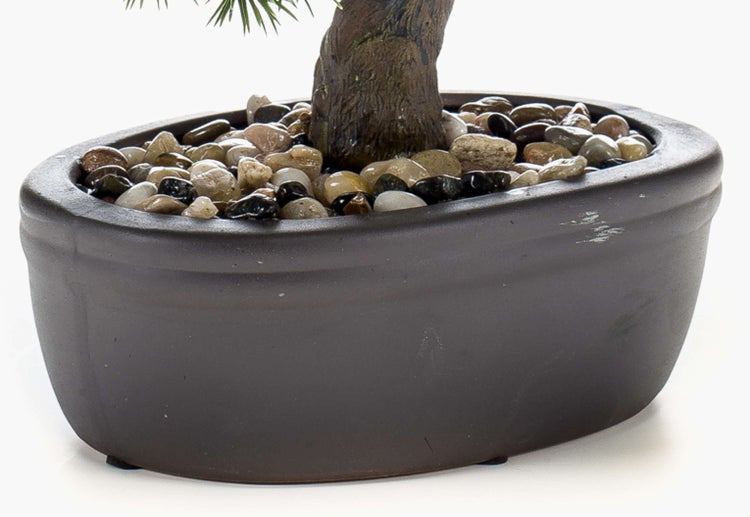 Nahaufnahme einer ovalen Bonsaischale aus Keramik mit Zierkies und einem Bonsaistamm.