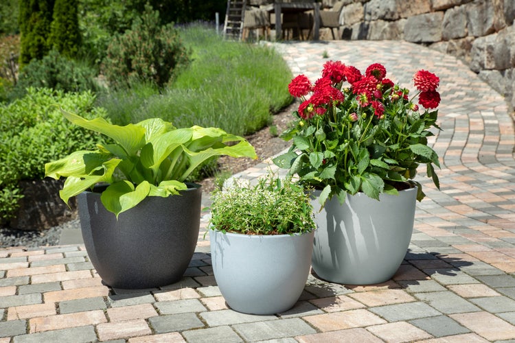 Drei runde Pflanzgefäße in verschiedenen Größen mit unterschiedlichen Pflanzen auf einer gepflasterten Gartenfläche.