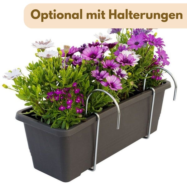 Balkonkasten mit optionalen Halterungen und blühenden Pflanzen