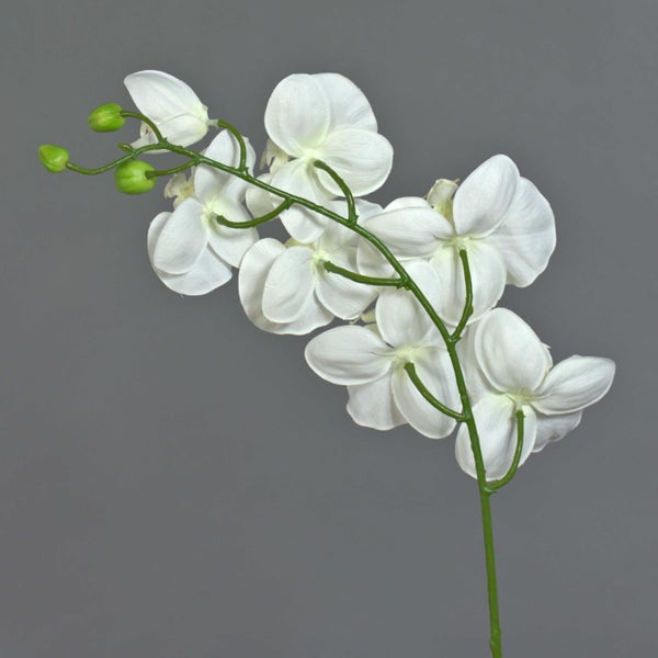 Künstlicher Orchideenzweig mit weißen Blüten und grünen Knospen.