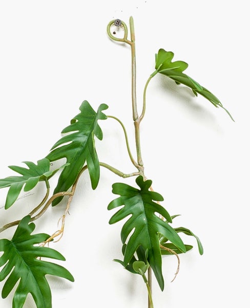 Künstliche Kletterpflanze mit tief gelappten grünen Blättern.