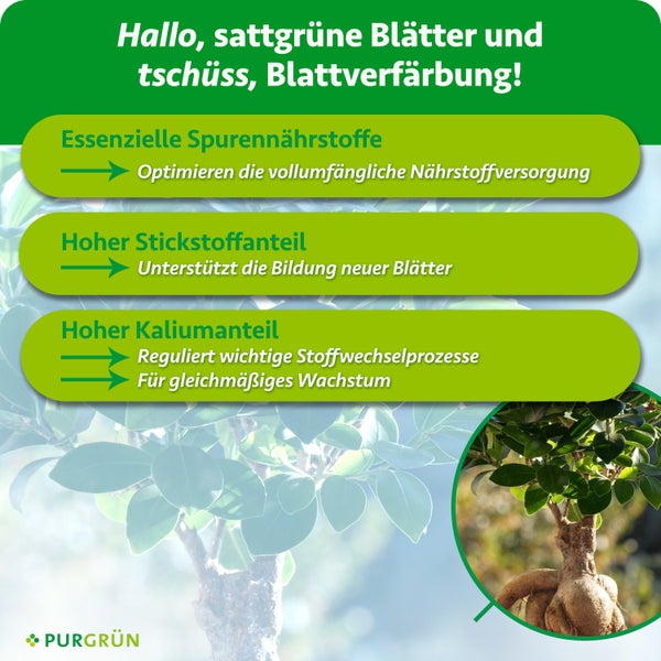 Infografik zum Purgrün Pflanzendünger für sattgrüne Blätter mit Informationen zu Spurennährstoffen, Stickstoff und Kalium für gesundes Wachstum.