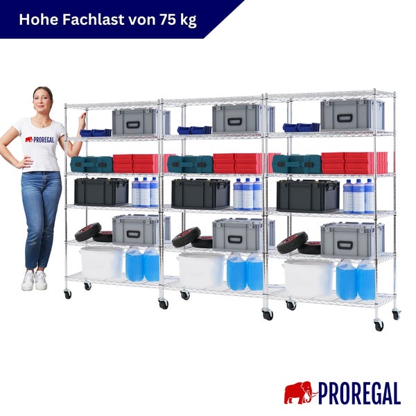 PROREGAL Drahtgitterregal auf Rollen mit 3 Feldern und 5 Fachböden, Fachlast 75 Kilogramm.