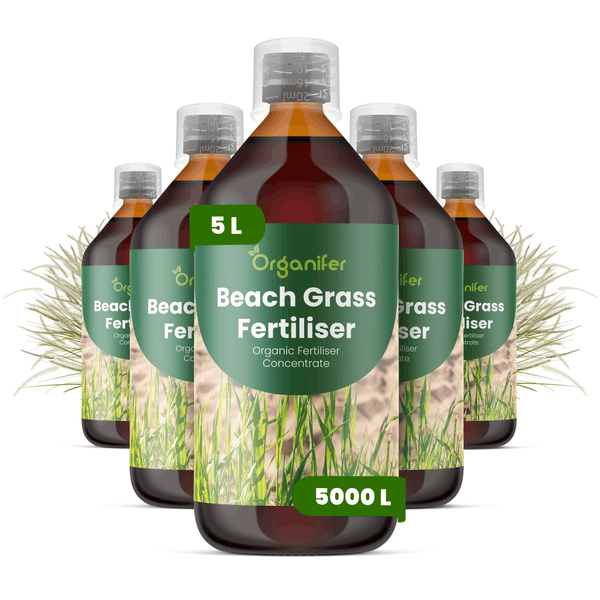 Fünf Flaschen Organifer Strandhaferdünger, organisches Düngerkonzentrat, 5 Liter Packungen für 5000 Liter fertigen Dünger.