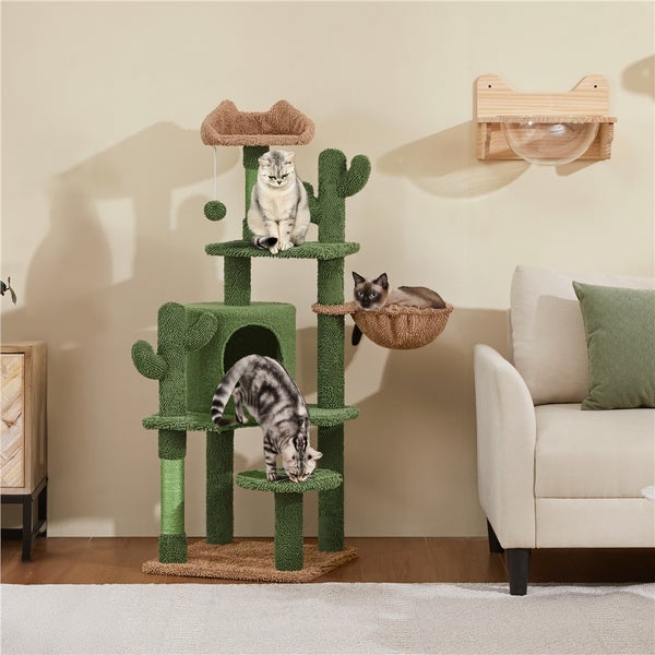 Katzenspielplatz im Kakteen-Design mit drei Katzen und einem Kratzbaum mit Schlafplatz