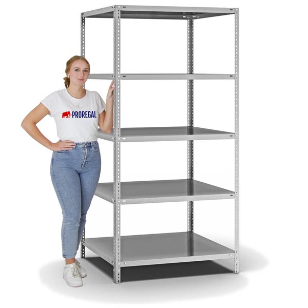 PROREGAL Fachbodenregal Schraubsystem Light-Duty Grundregal HxBxT 200 x 100 x 80 cm 5 Ebenen Fachlast 125 kg Beidseitig Nutzbar Verzinkt