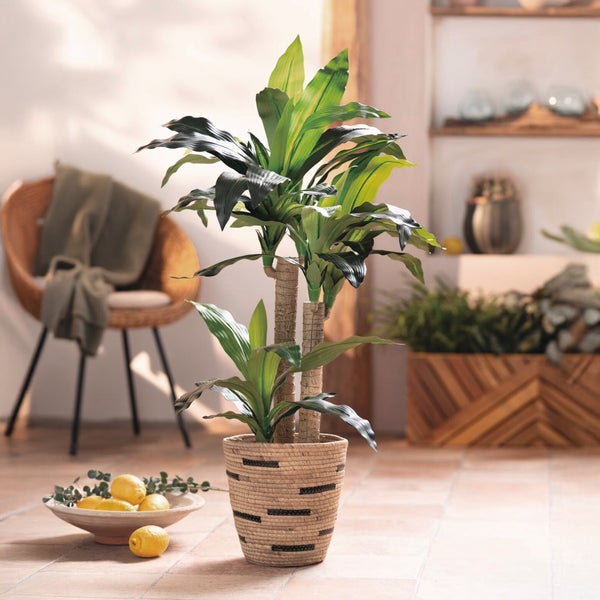 FRANK FLECHTWAREN|Kunstpflanze Yucca-Palme, ca. 65 x 55 x 105 cm, POLYETHYLEN, POLYPROPYLEN, METALL