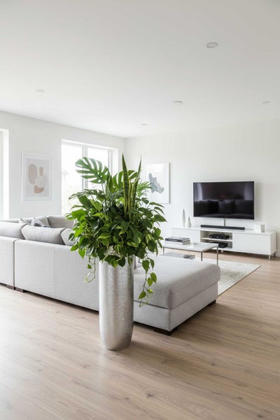 Hell gestaltetes Wohnzimmer mit hellem Bodenbelag in Holzoptik, grauem Sofa und großer Grünpflanze in einem silbernen Pflanzgefäß.