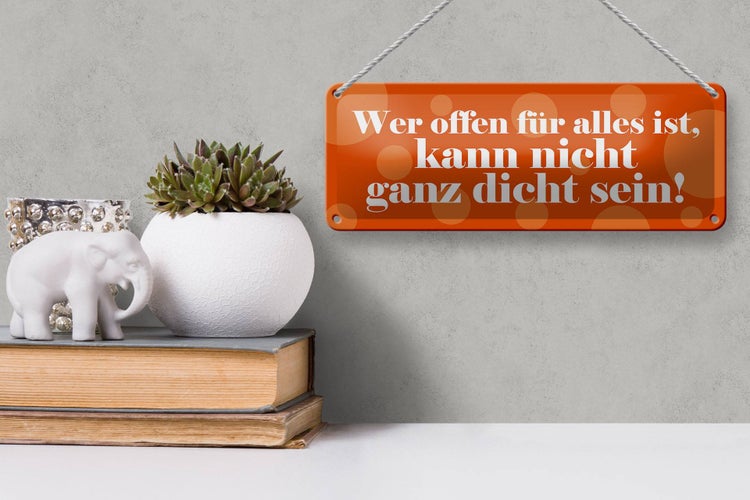 Blechschild Spruch 27x10cm wer offen für alles nicht dicht Dekoration
