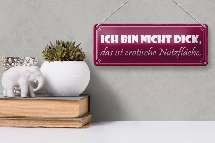 Blechschild Spruch 27x10cm nicht dick erotische Nutzfläche Dekoration