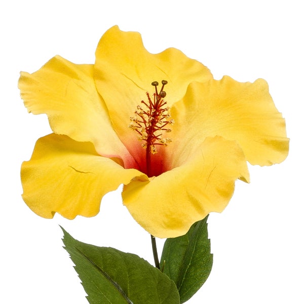 Nahaufnahme einer künstlichen Pflanze mit großen gemusterten grünen Blättern.