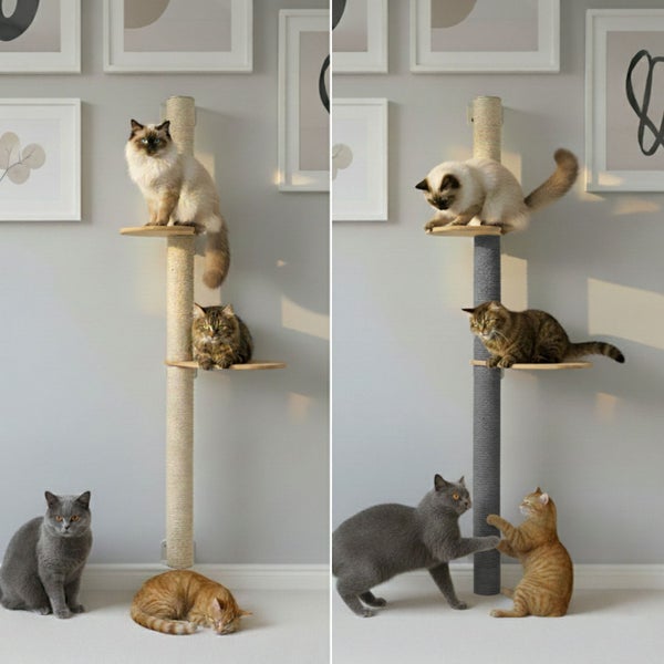 Wandkratzbaum zur Wandmontage mit Sisalstamm und Liegeplattformen für mehrere Katzen