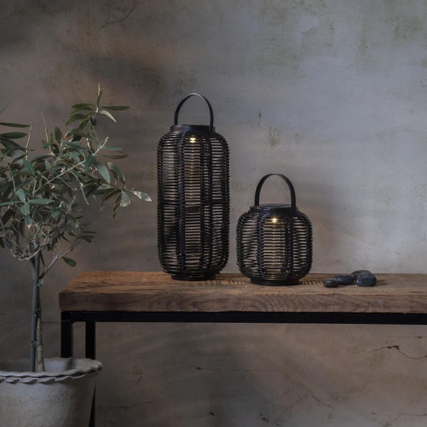 Pendelleuchte mit dekorativem Leuchtmittel und Farn in Glasvase