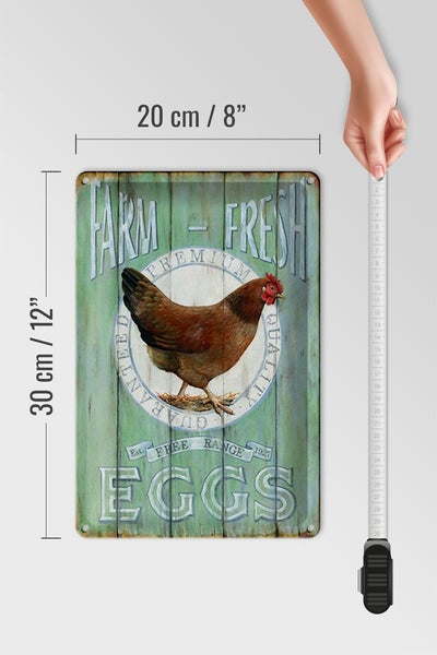 Blechschild Spruch 20x30cm Huhn Farm fresh Eggs free range