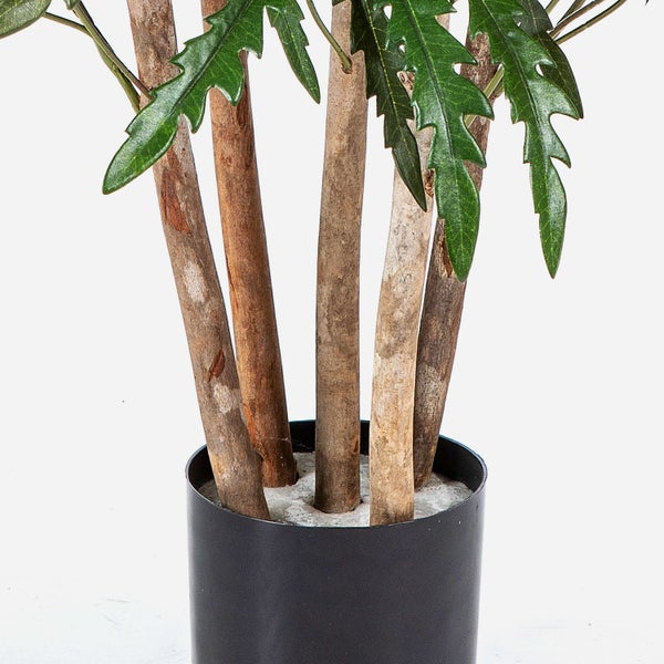 Detailaufnahme einer Kunstpflanze mit mehreren Echtholzstämmen und gezackten grünen Blättern in einem schwarzen Topf