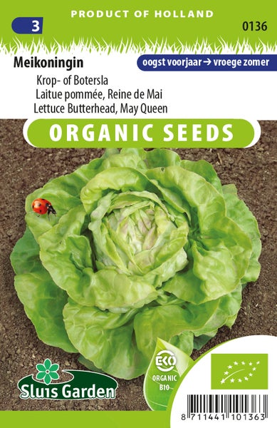 Meikönigin Kopfsalat Bio-Samenpackung
