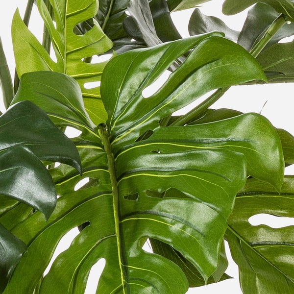 Künstliche Monstera Pflanze im schwarzen Kunststofftopf mit künstlicher Erde.