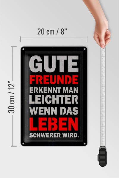 Blechschild Spruch 20x30cm gute Freunde erkennt man