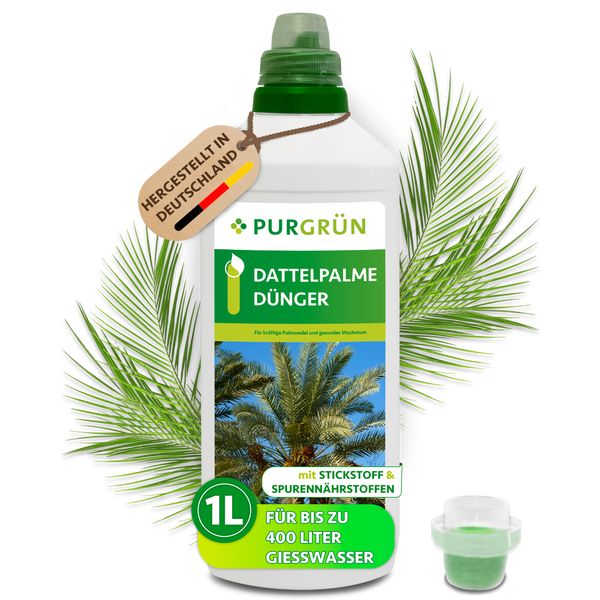 Purgrün Dattelpalme Dünger, 1 Liter Flasche für bis zu 400 Liter Gießwasser, enthält Stickstoff und Spurennährstoffe, hergestellt in Deutschland.