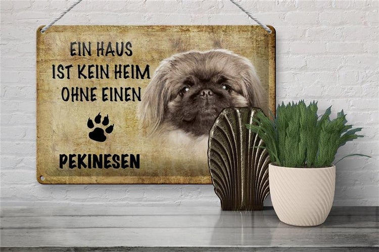 Blechschild Spruch 30x20cm Pekinesen Hund ohne kein Heim