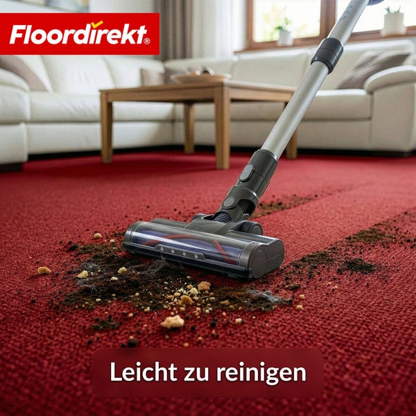 Staubsauger reinigt Teppich von Schmutz im Wohnzimmer; im Hintergrund Sofa und Tisch