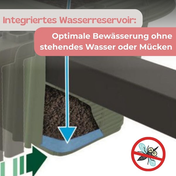 Darstellung eines integrierten Wasserreservoirs zur optimalen Bewässerung ohne stehendes Wasser. Das Symbol kennzeichnet, dass keine Mücken entstehen.