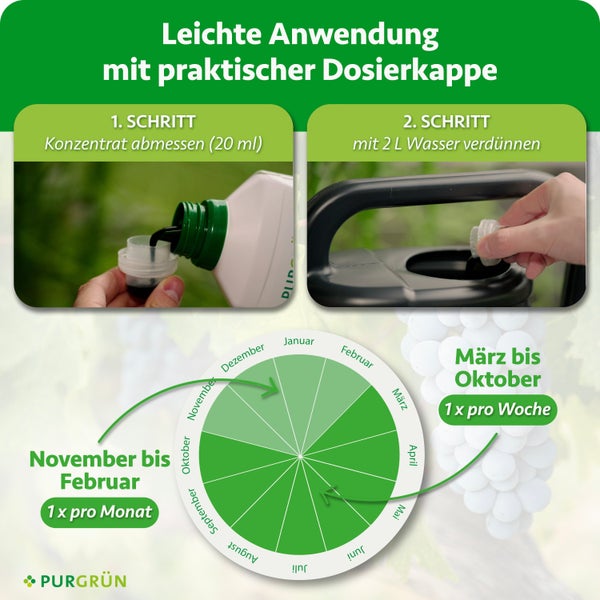 Anwendungshinweise und Dosierungstabelle für Pflanzendünger Konzentrat mit zwei Schritten und saisonalem Anwendungsplan von März bis Oktober.