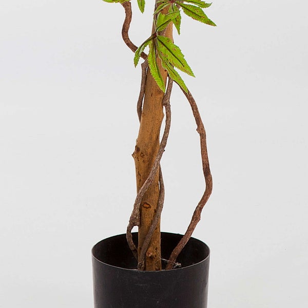 Künstliche Hortensie mit weißer Blüte und grünen Blättern.