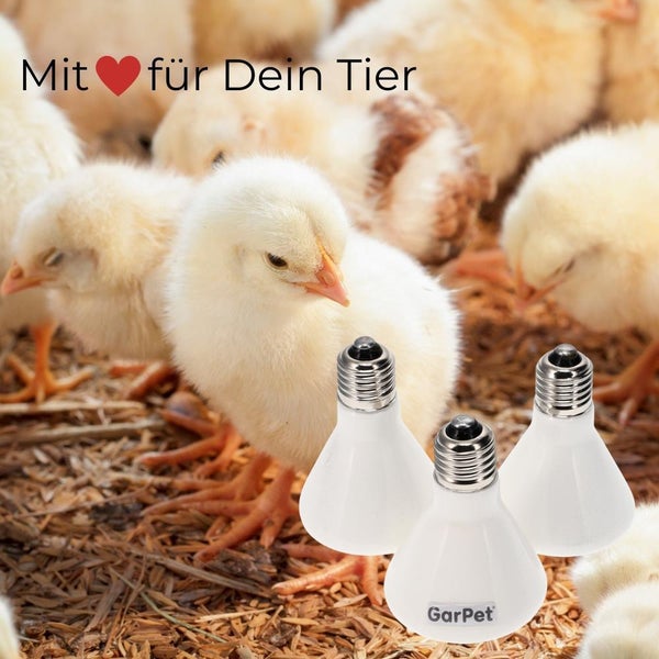 Dunkelstrahler Keramiklampe 60 Watt