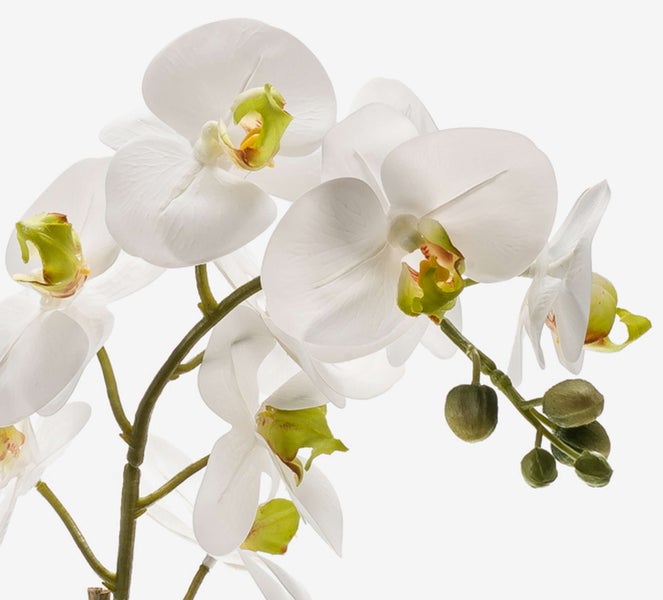 Künstliche Orchidee mit weißen Blüten, grünen Stielen und ungeöffneten Knospen.