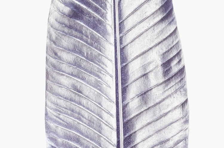 Kiefernzweig mit langen Nadeln