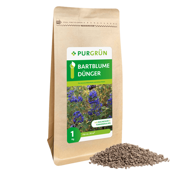 Purgrün Bartblume-Dünger 1 kg