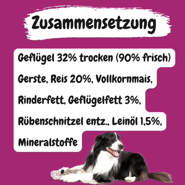Balance | Geflügel a la Carte mit Reis | hoher Fleischanteil (ca. 90% Ente, Huhn, Pute frisch)| naturnahe Rezeptur