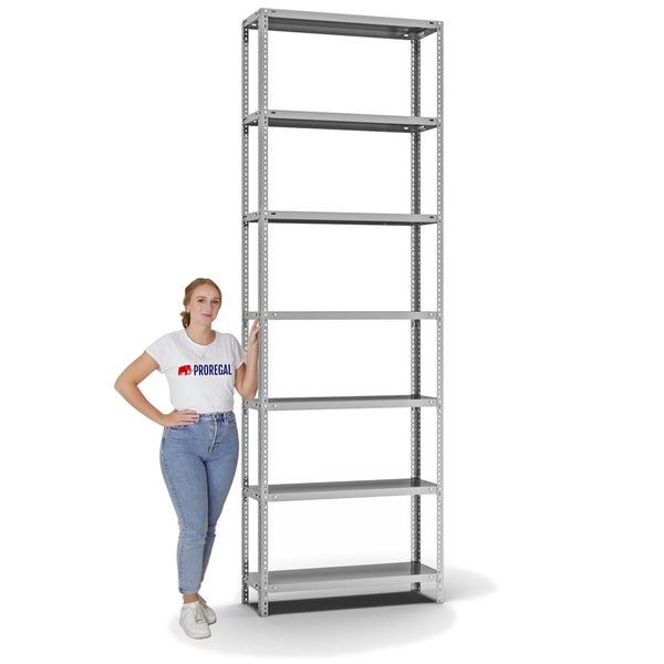 PROREGAL Fachbodenregal Schraubsystem Light-Duty Grundregal HxBxT 300 x 100 x 30 cm 7 Ebenen Fachlast 125 kg Beidseitig Nutzbar Verzinkt