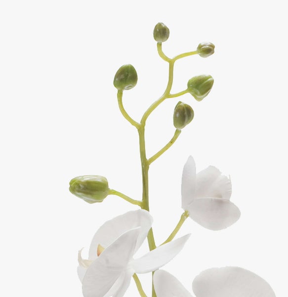 Beistelltisch mit zwei hellen Holzschubladen, bunte Blumensträuße in verschiedenen Vasen, goldene Gießkanne und dekorative Affenfigur.