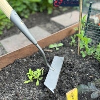 Gartenhacke im Beet mit jungen Pflanzen