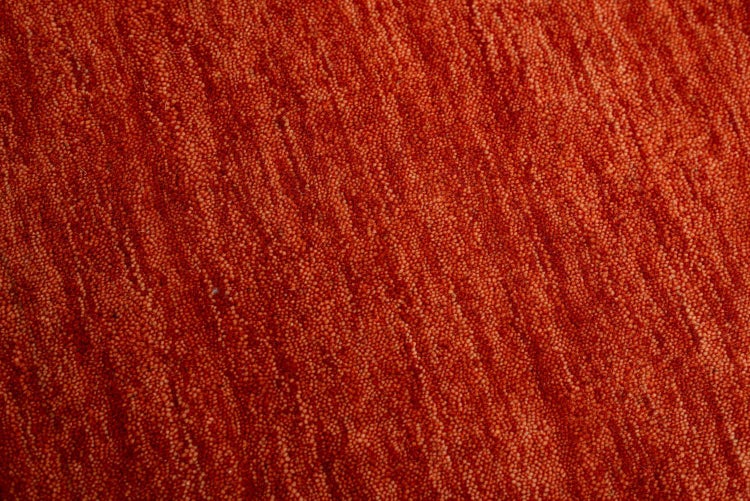 Wollteppich Luxus Designerteppich moderner uni Teppich aus reiner Schurwolle Terracotta 170x240 cm