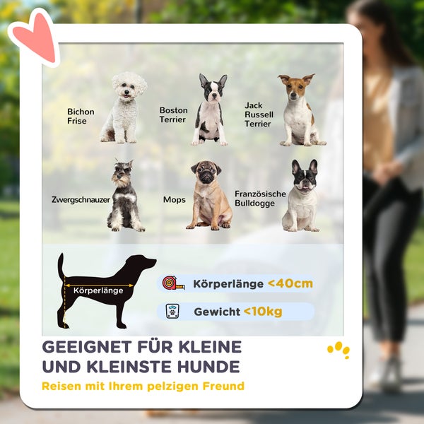 PawHut Hundewagen leicht Hundebuggy aus Aluminium klappbar für Hunde & Katzen bis 10 kg Katzenbuggy mit Kissen Netzfenstern Türen Aufbewahrungskorb Katzenwagen Buggy Grau