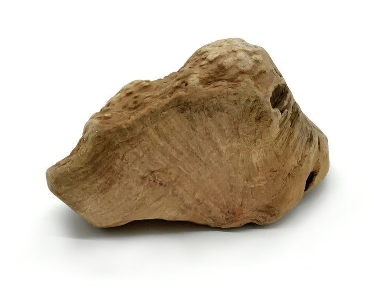Natürliches braunes Dekoholz für Aquarien oder Terrarien mit strukturierter Oberfläche und kleinen Vertiefungen.