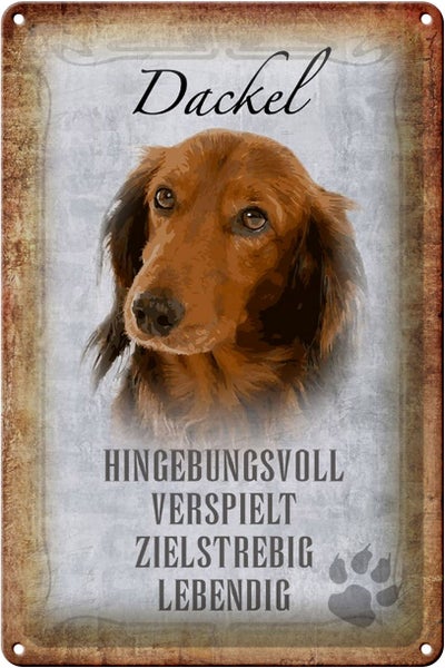 Blechschild Spruch 20x30cm Dackel Hund lebendig Schild