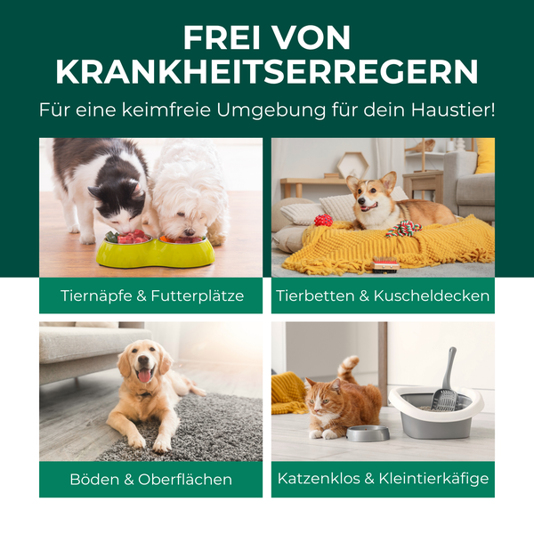 Keimfreie Umgebung für Haustiere: Tiernäpfe, Tierbetten, Oberflächen, Katzenklos und Kleintierkäfige