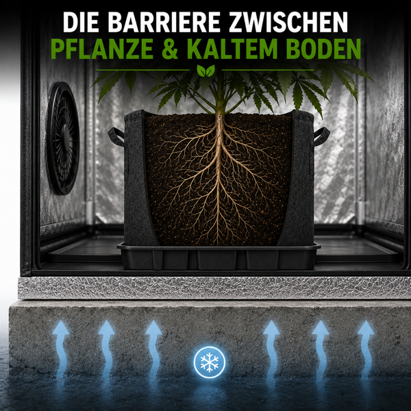 Thermische Isolationsplatte als Barriere zwischen Pflanzgefäß und kaltem Boden für Growzelte zur Optimierung des Wurzelklimas.